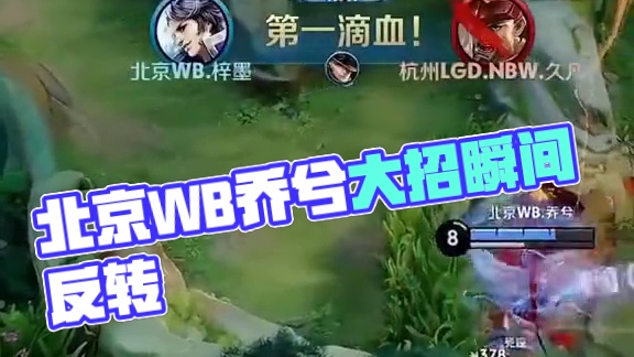 观赛
